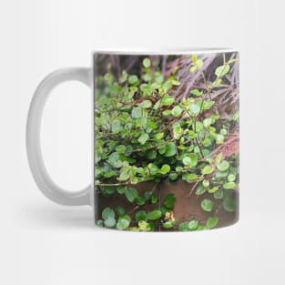 Garden Wall Mug